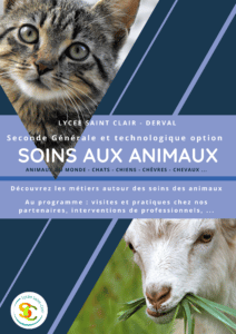 Lire la suite à propos de l’article Option SOINS AUX ANIMAUX