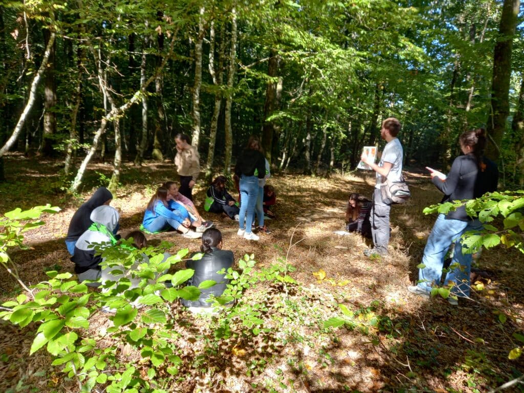 les élèves assis dans la forêt