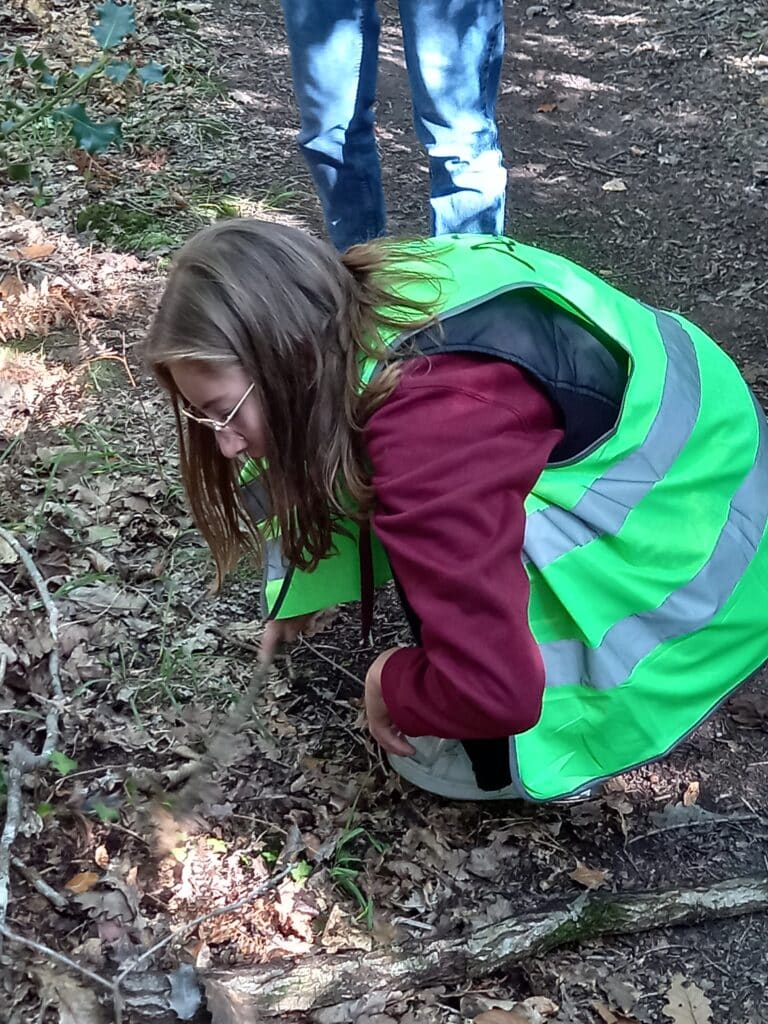 une élève dans la forêt qui cherche dans le sol