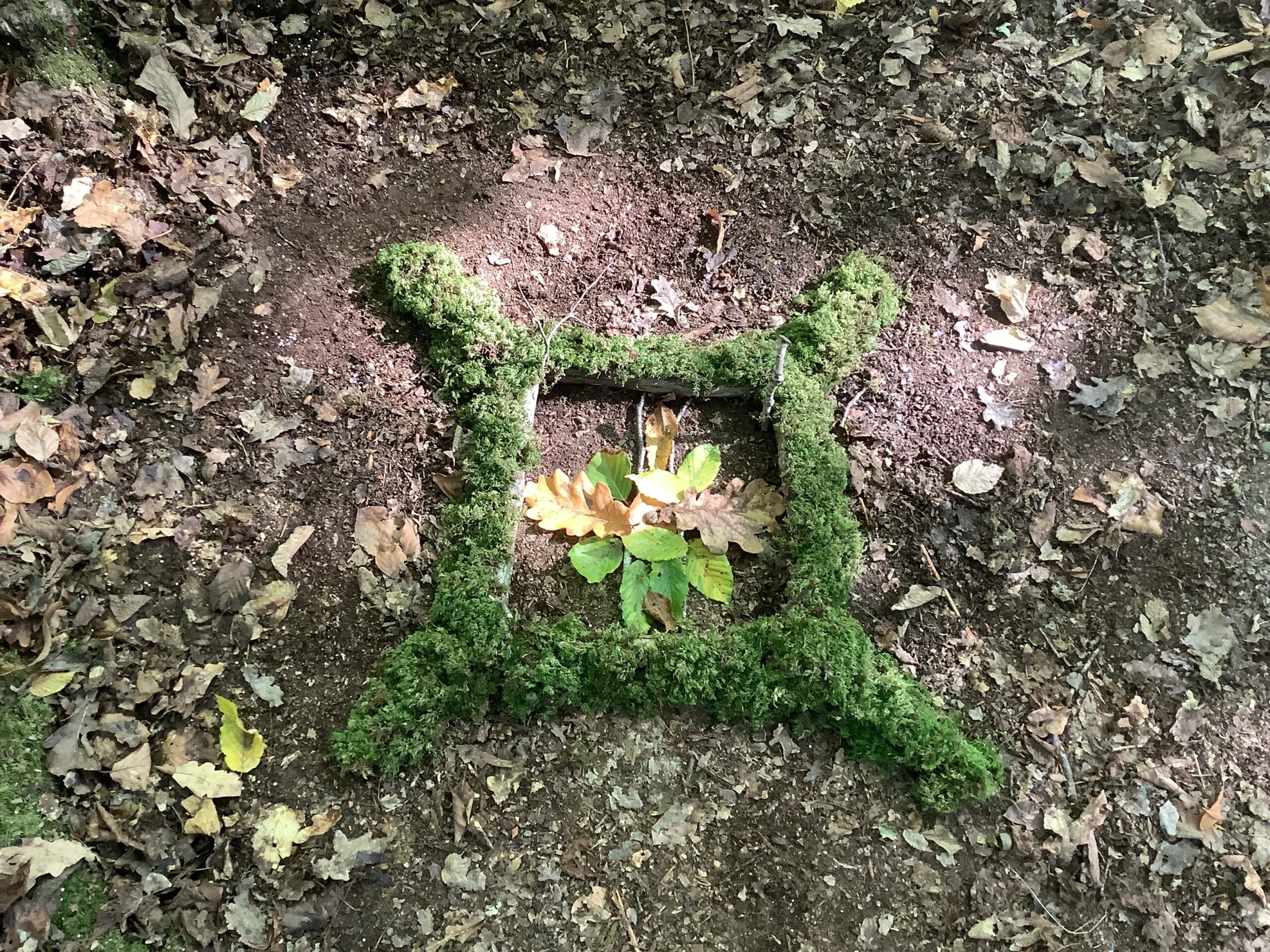 Lire la suite à propos de l’article Le Land’ Art en forêt du Gâvre  