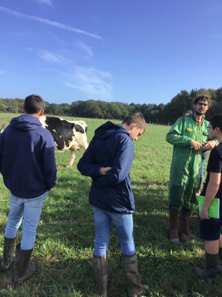 3 élèves, une vache