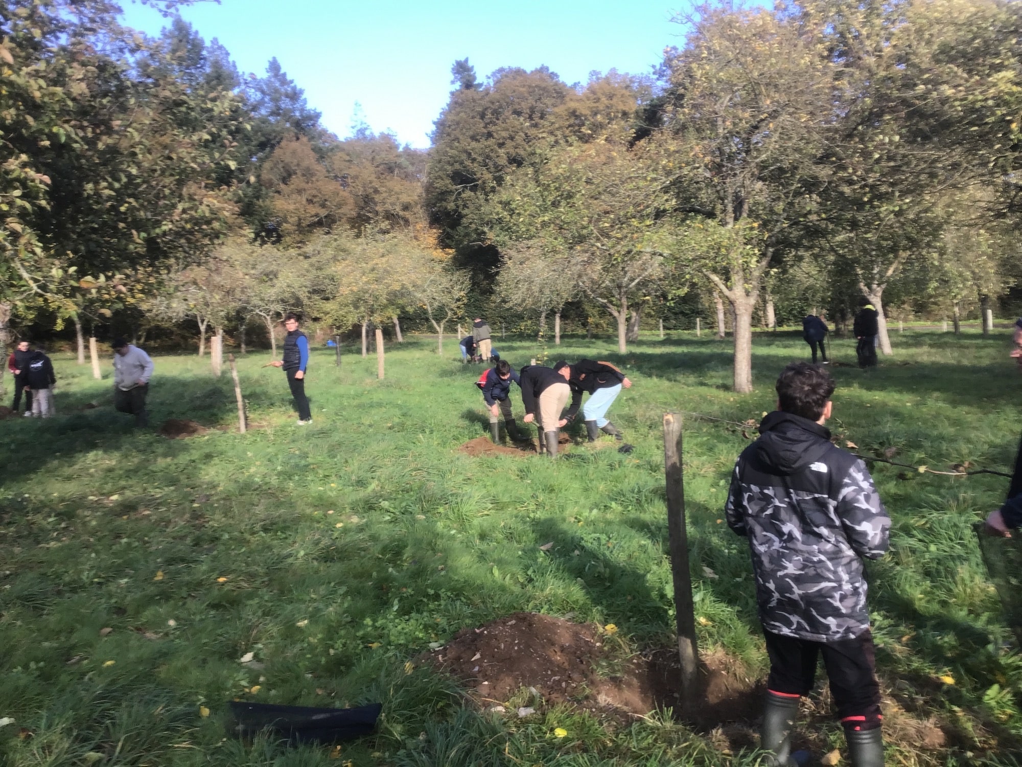 Lire la suite à propos de l’article Visite et plantation de verger pour les 4PP