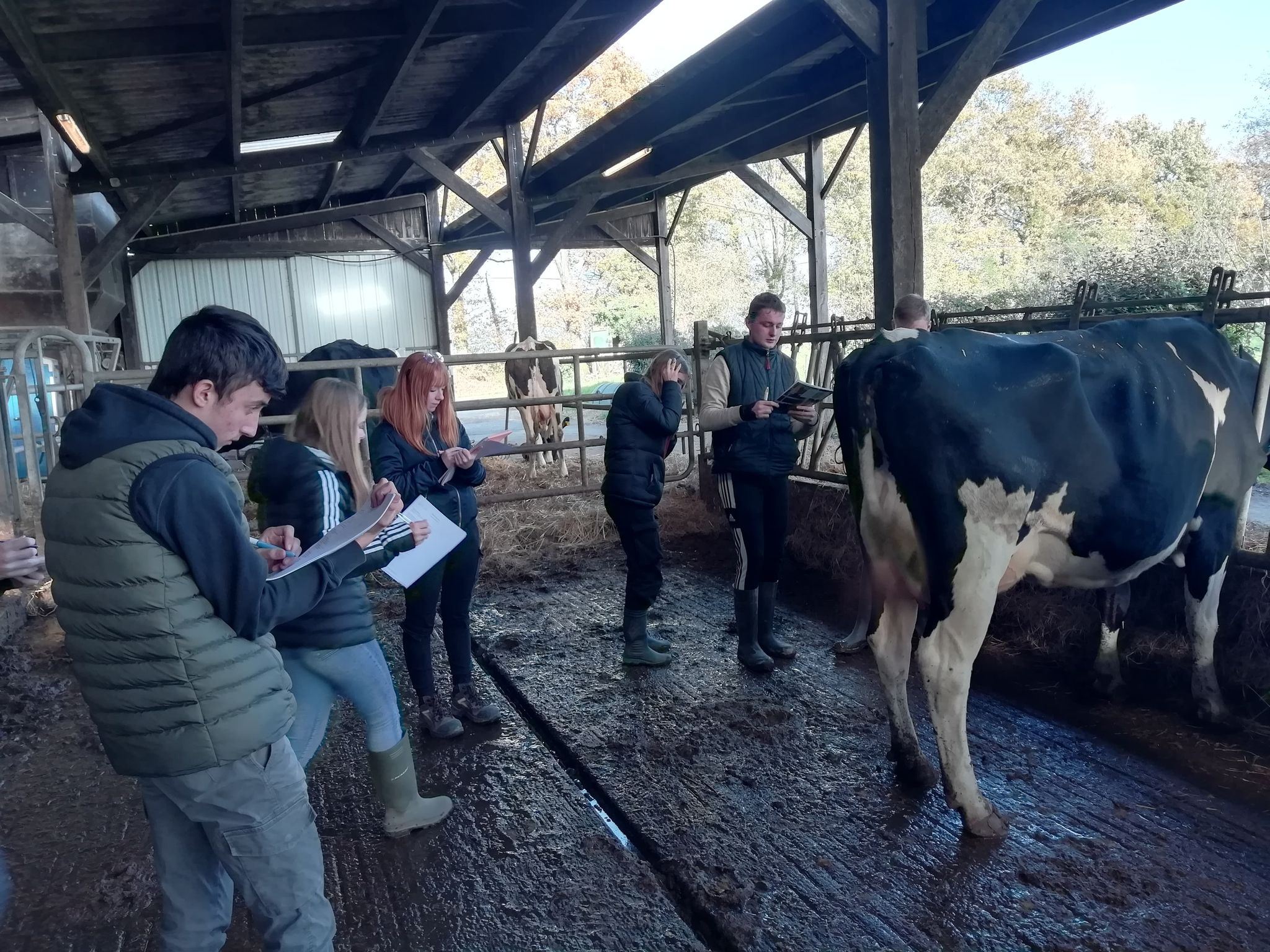 Lire la suite à propos de l’article Journée technique orientée sur l’élevage pour les apprenants de Term CGEA