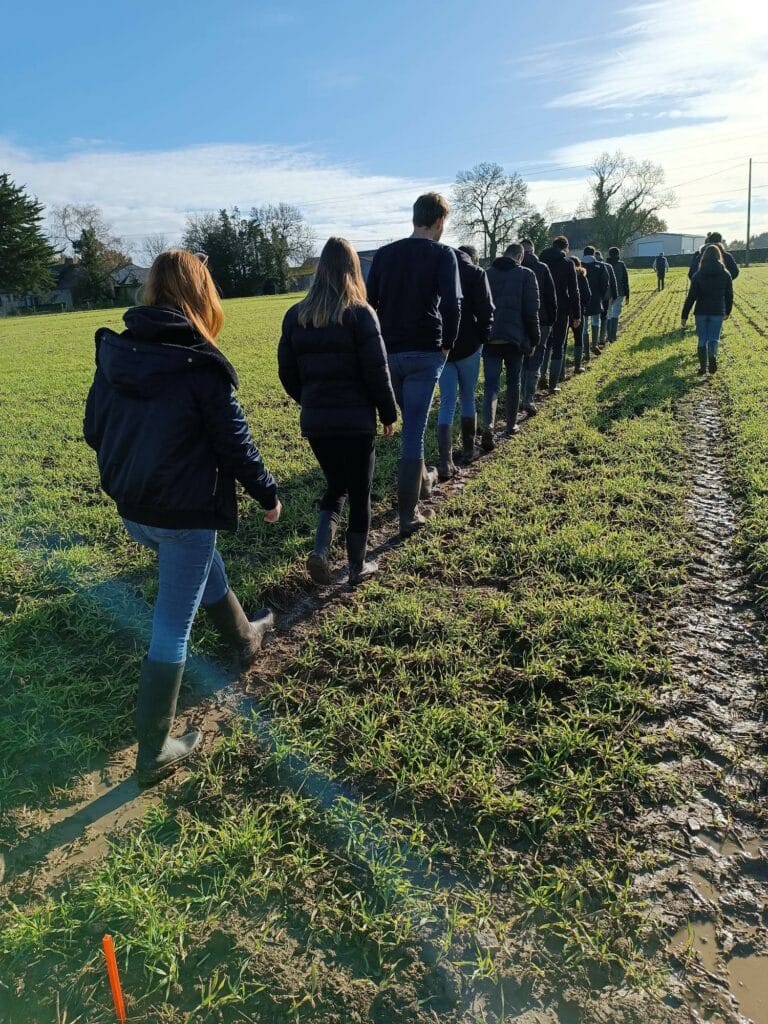 Des élèves marchent en file dans un champ
