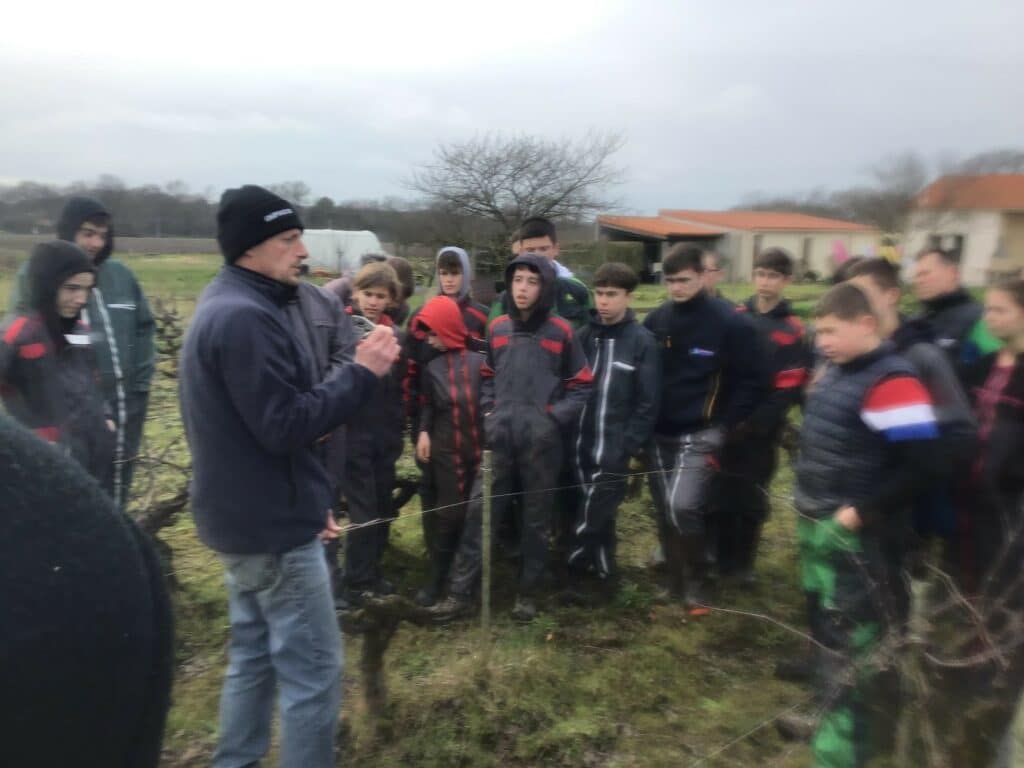 Les élèves à la taille de vigne