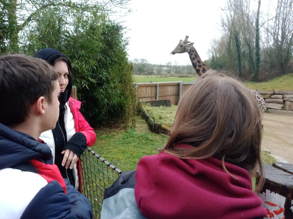 Elèves avec une girafe