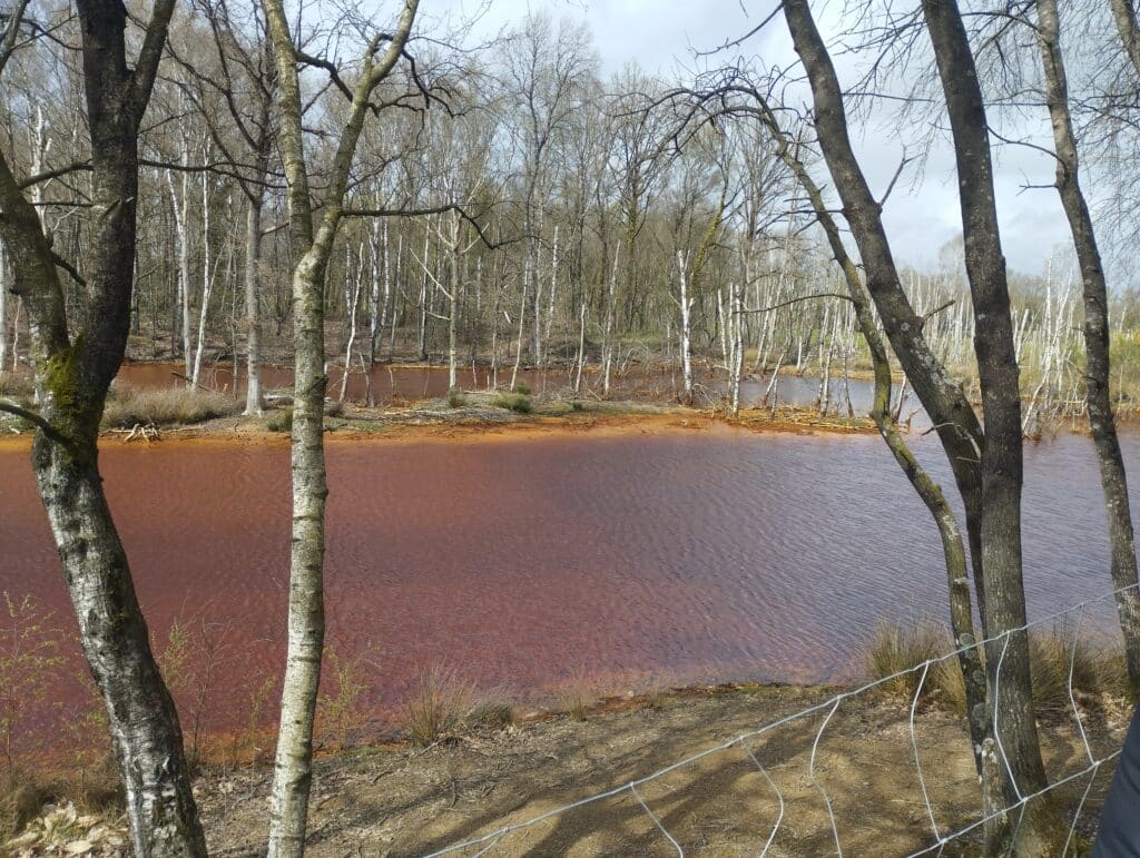 journée à Abbaretz