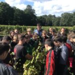 Vendanges pour les élèves de 3PP