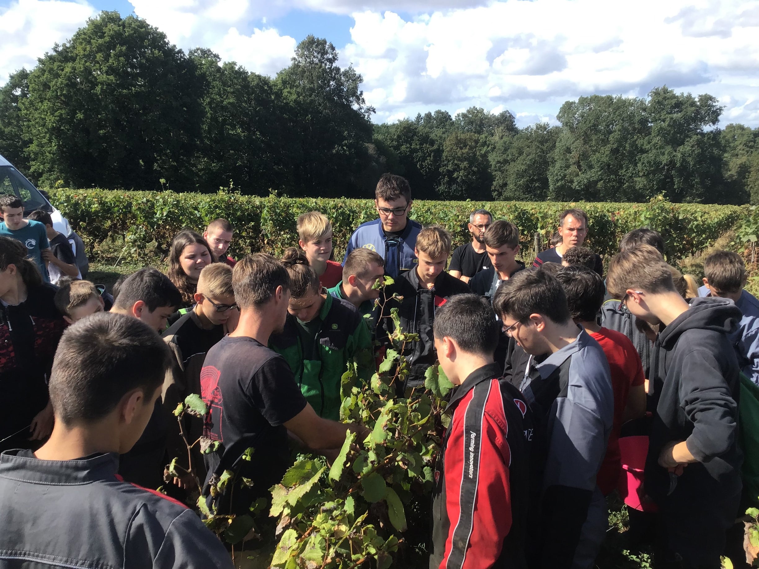 Lire la suite à propos de l’article Vendanges pour les élèves de 3PP