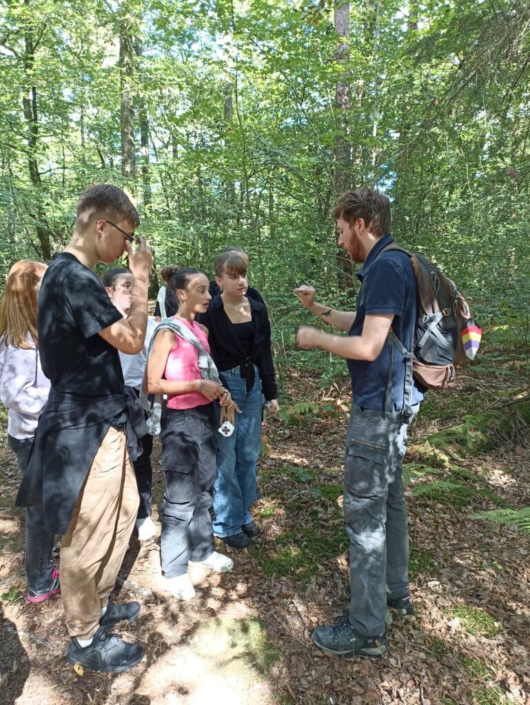 forêt du Gâvre