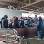 Les BTS ACSE en mode pro chez Terrena !
