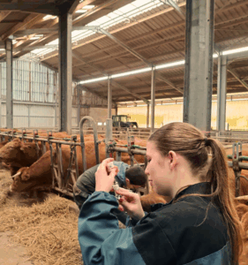 taxe apprentissage (5)